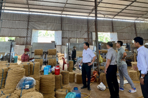 Công ty TNHH Dừa Tân Hội được hỗ trợ từ nguồn kinh phí khuyến công quốc gia năm 2023 để phát triển sản xuất