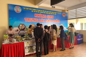 Bến Tre tổ chức trưng bày, giới thiệu sản phẩm đặc trưng của tỉnh tại Tọa đàm: “Đoàn trưởng cơ quan đại diện Việt Nam tại nước ngoài  nhiệm kỳ 2024 – 2027”